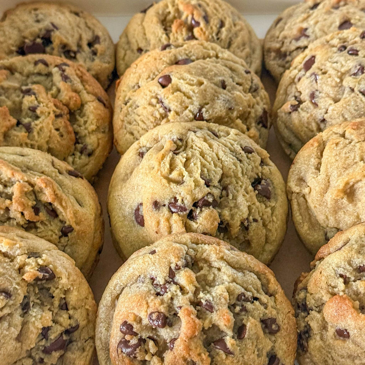 Chip Faced | Chocolate Chip Cookie