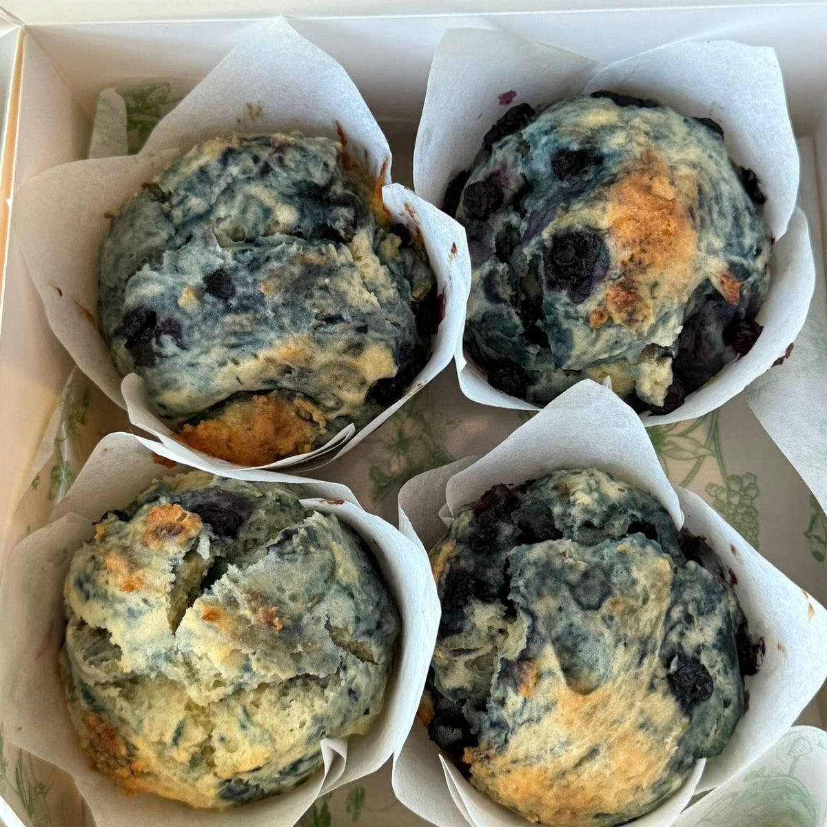 Four blueberry muffins in white paper liners inside a white cardboard box, photographed from above.